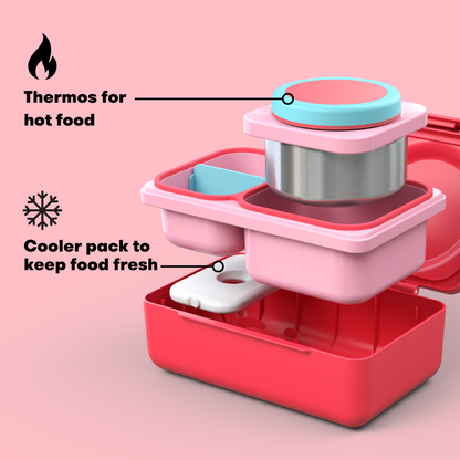 Gear UP Essential Bundle