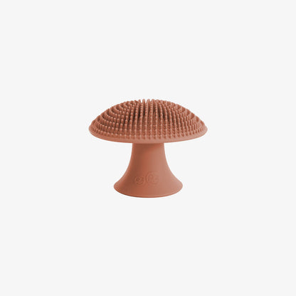 Mushroom Sponge